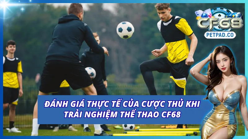 Đánh giá thực tế từ những bet thủ lâu năm